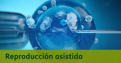 Reproducción Asistida Destacados