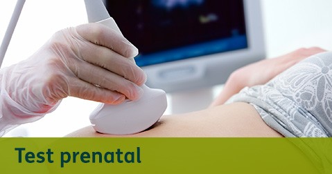 Test Prenatal Destacados
